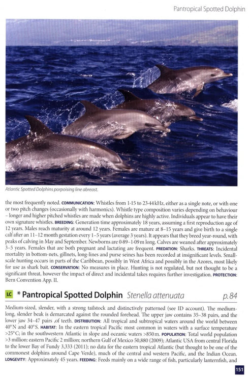 Europe's Sea Mammals - Still, R. ym. 2019